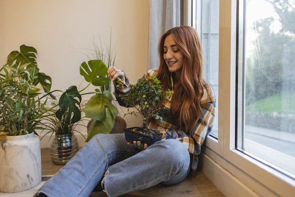 En quoi l'art du bonsaï peut-il contribuer au bien-être mental ?